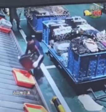 尔滨装卸行李温柔得像放鸡蛋