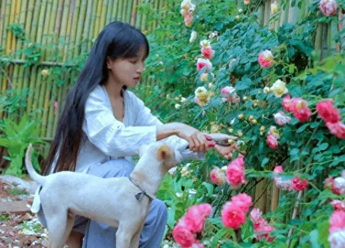 李子柒停更期间拜访了许多非遗传人
