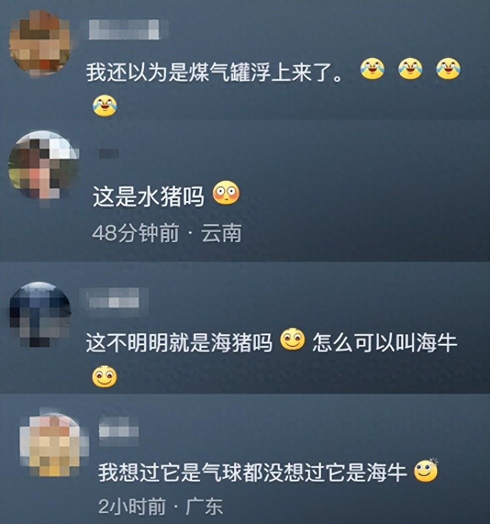 怎么有脑袋这么小身体那么大的动物