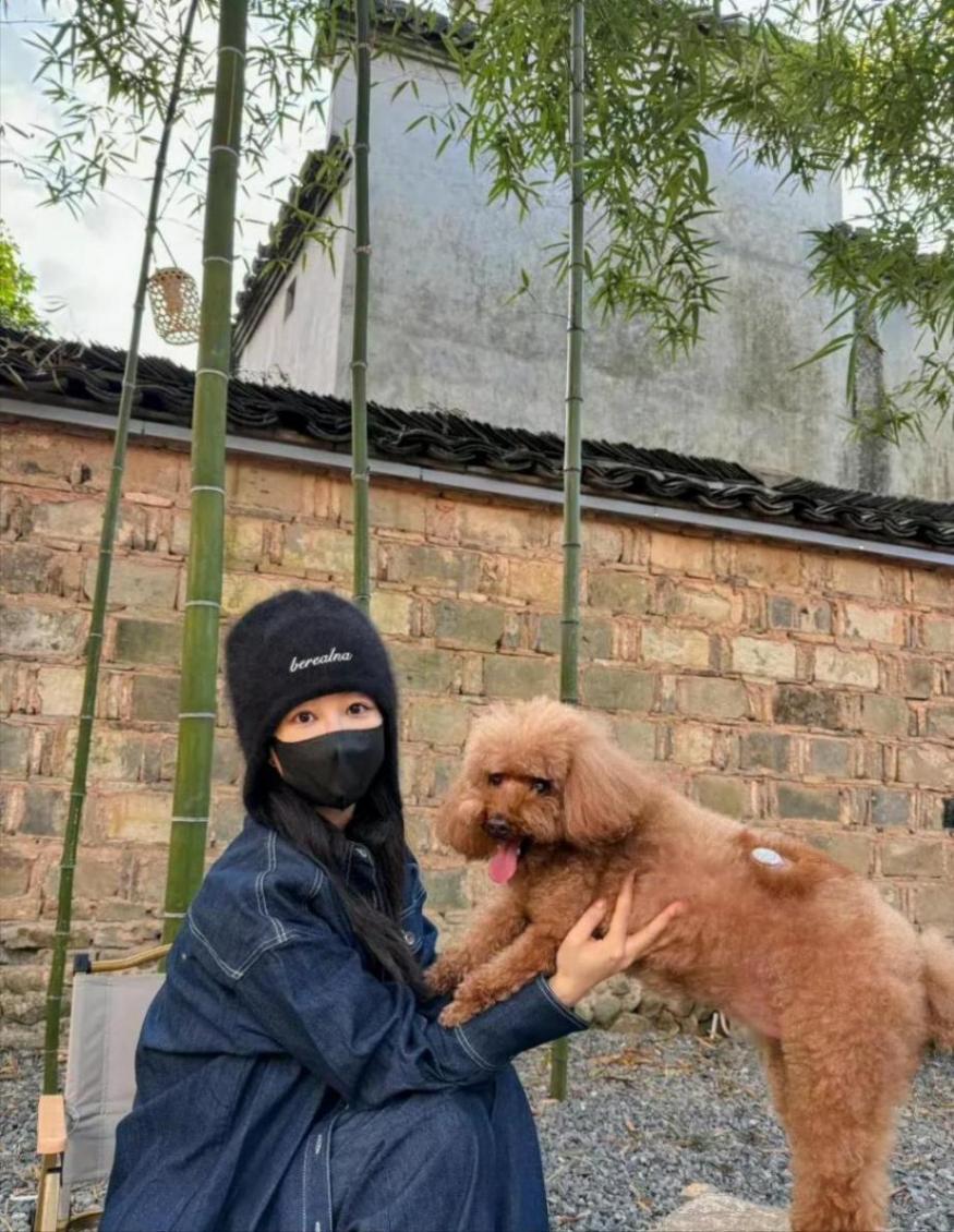 杨紫家业开机状态