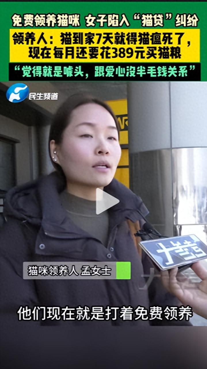 女子免费领养猫咪陷入“猫贷”纠纷