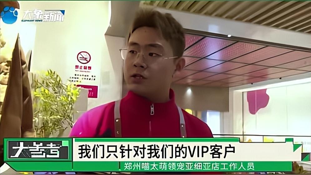 女子免费领养猫咪陷入“猫贷”纠纷