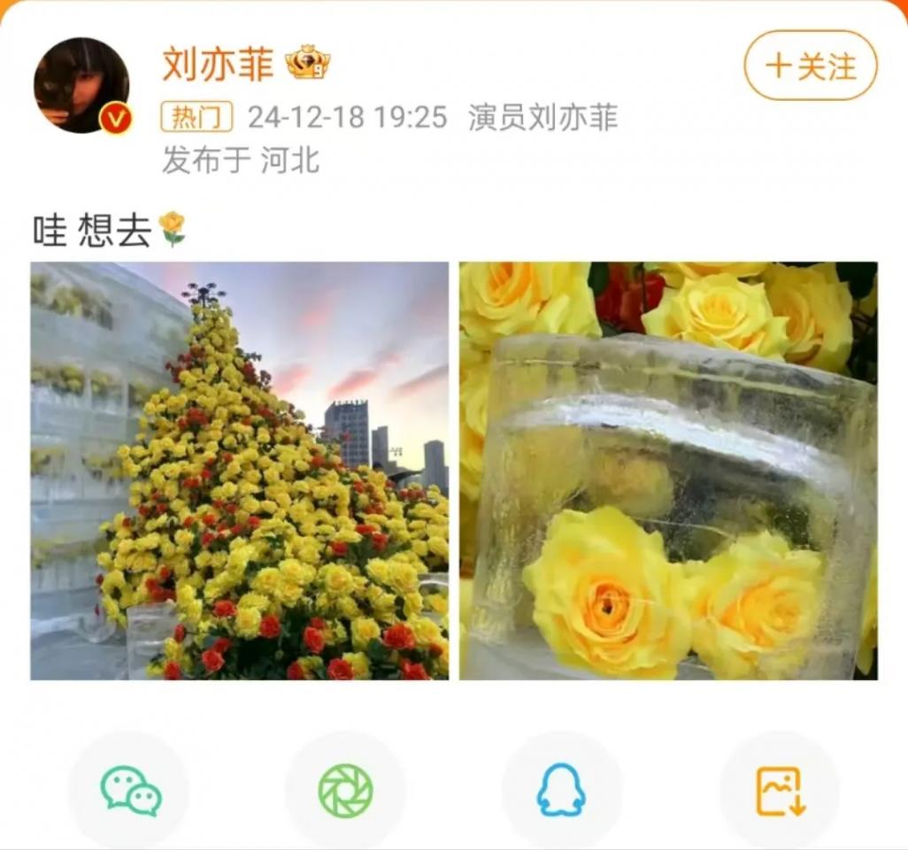 哈尔滨文旅回复刘亦菲
