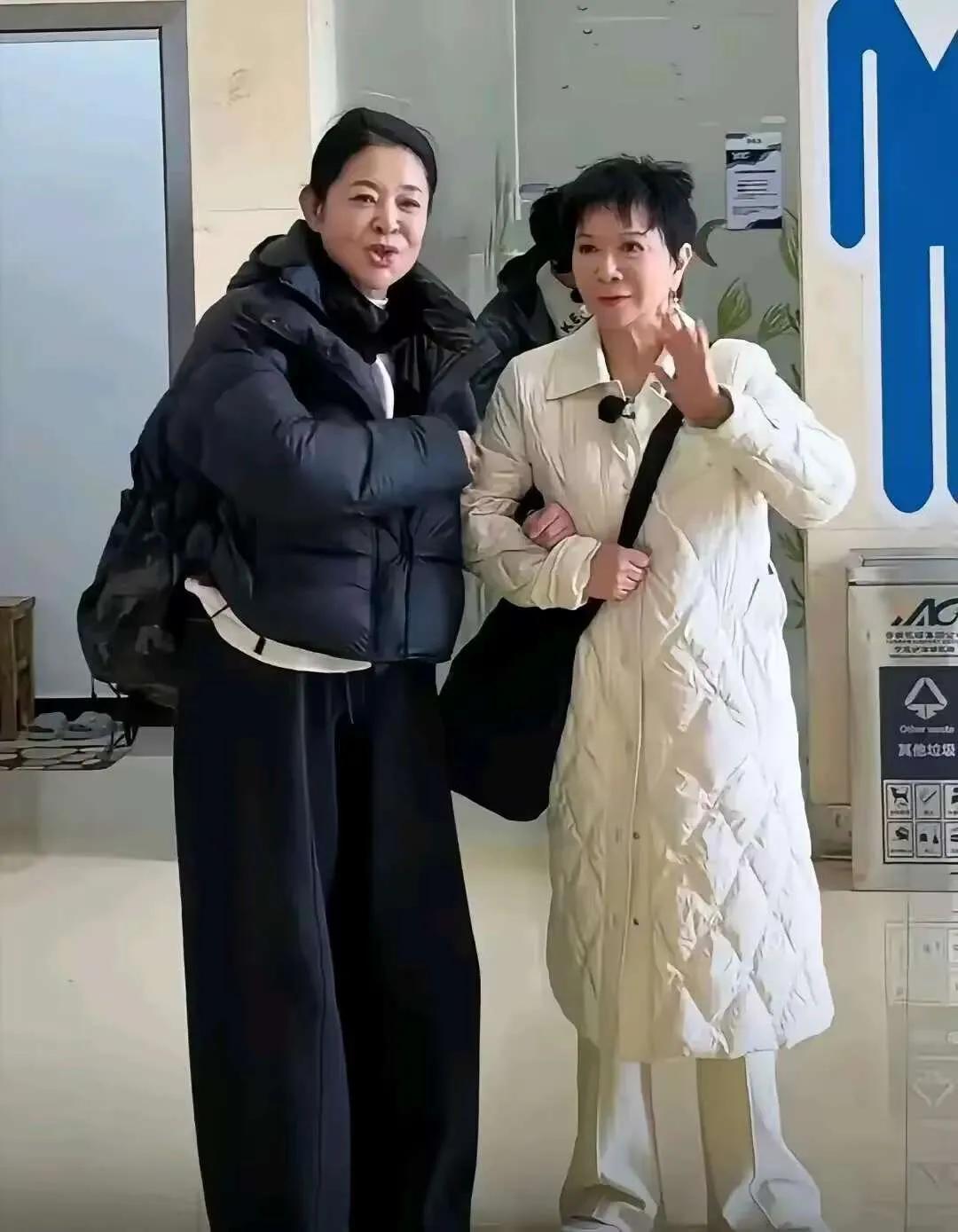 倪萍说麦琳幸福得活该