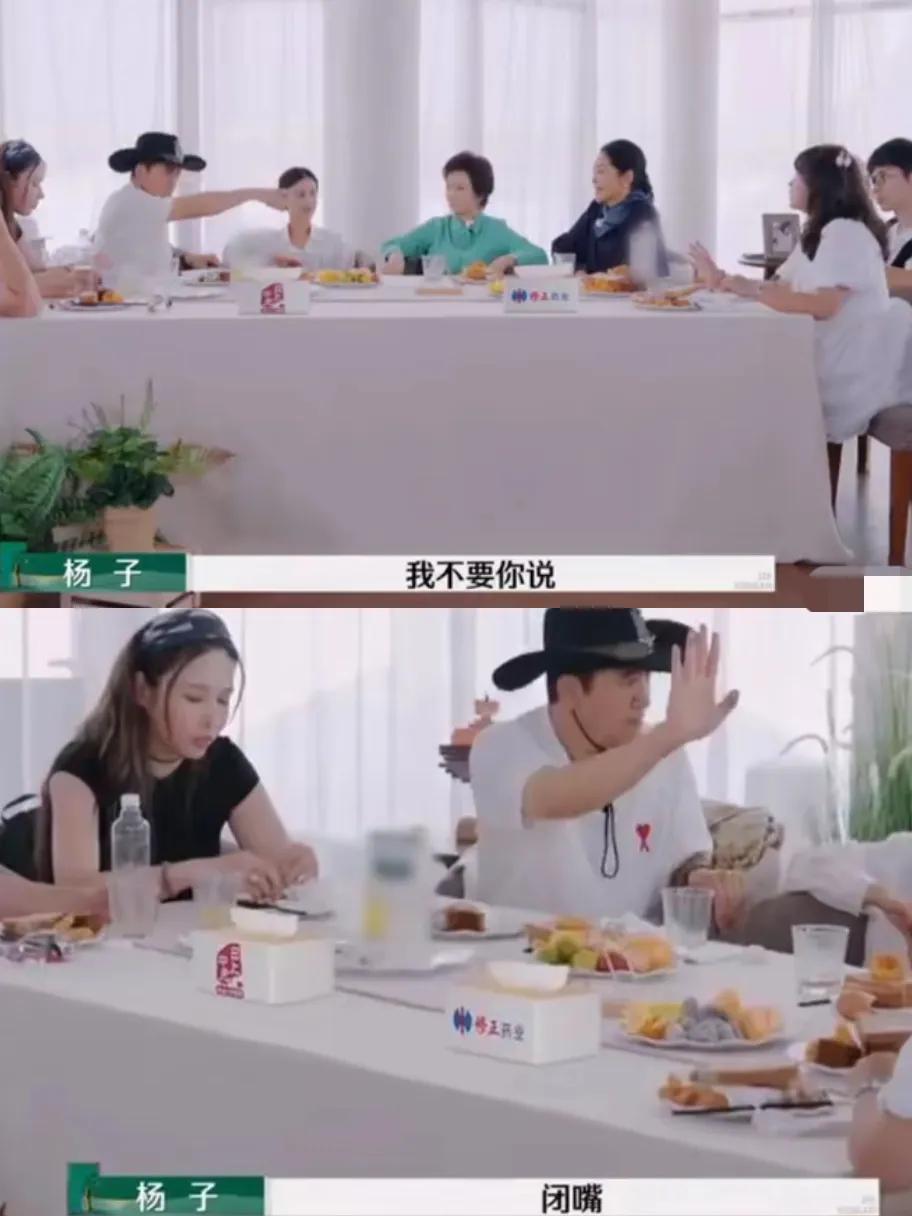 黄圣依再就业