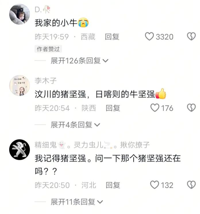 消防员救出被埋5天“牛坚强”