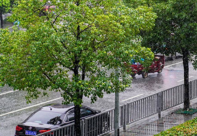 元宵节南北雨雪打灯