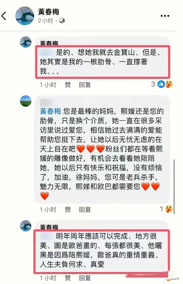 大S雕像图纸是具俊晔画的