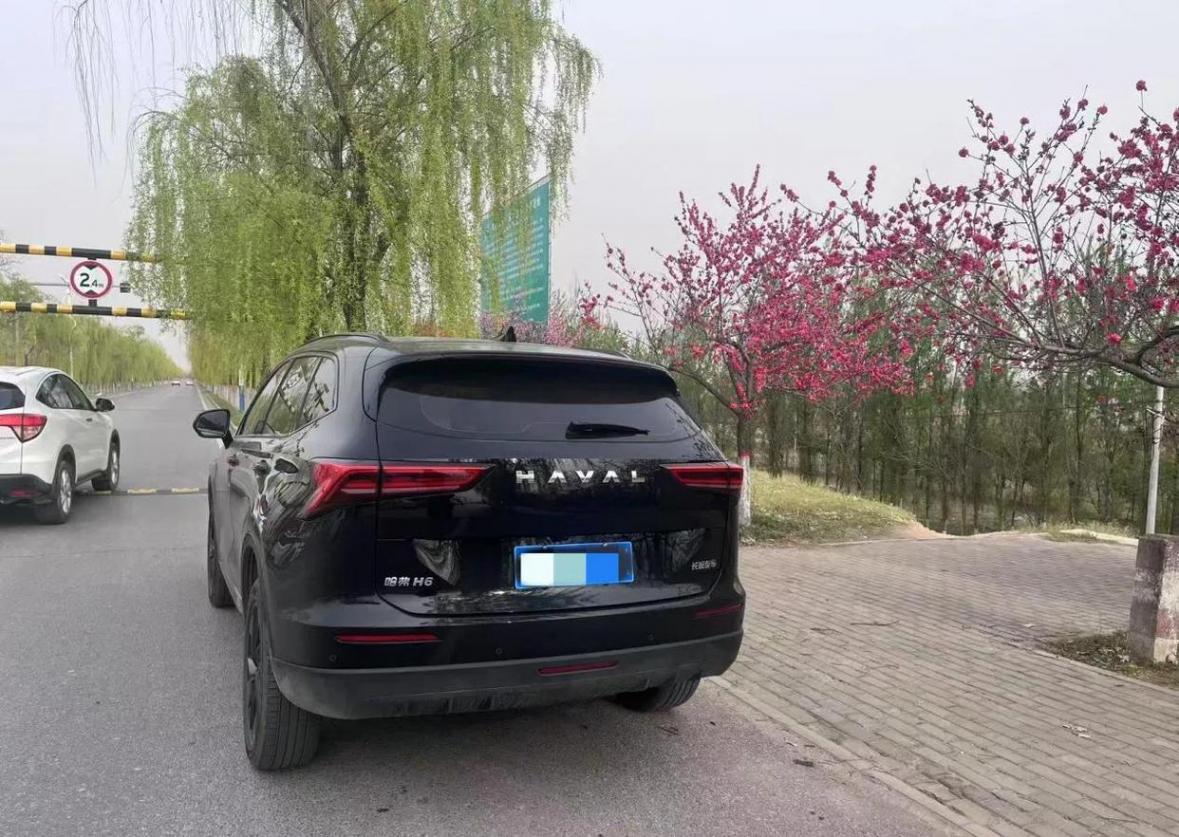 哈弗H6究竟是否神车?作为提车6个月的车主,我来真实分享