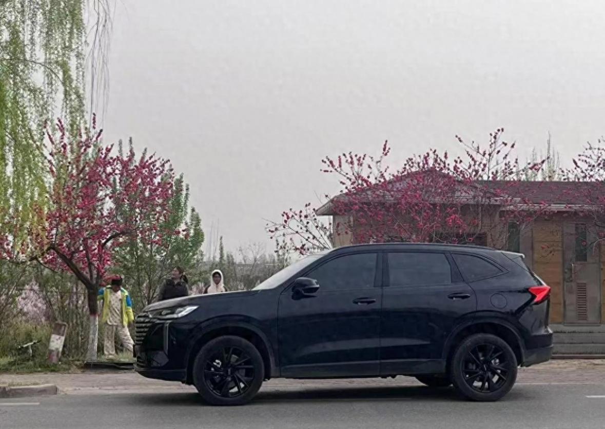 哈弗H6究竟是否神车?作为提车6个月的车主,我来真实分享
